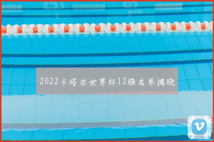 2022卡塔尔世界杯12强名单揭晓