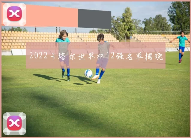 2022卡塔尔世界杯12强名单揭晓