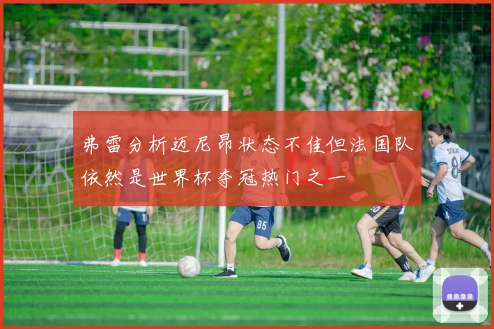 弗雷分析迈尼昂状态不佳但法国队依然是世界杯夺冠热门之一