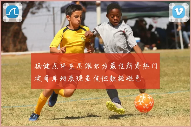 杨健点评克尼佩尔为最佳新秀热门埃奇库姆表现虽佳但数据逊色