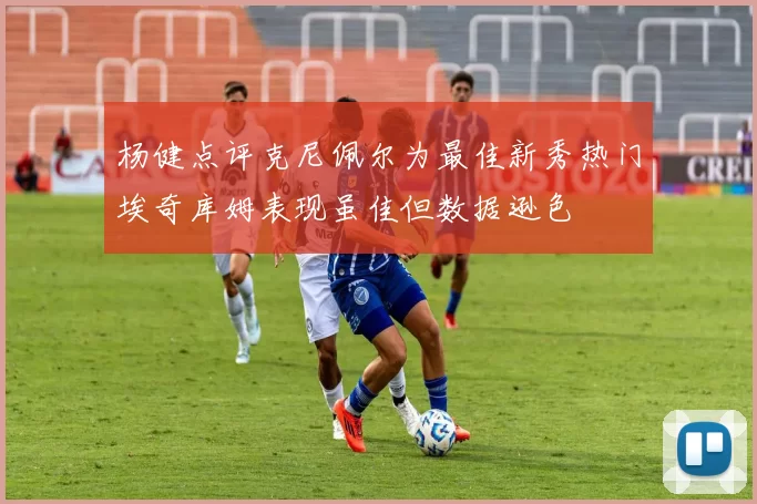 杨健点评克尼佩尔为最佳新秀热门埃奇库姆表现虽佳但数据逊色