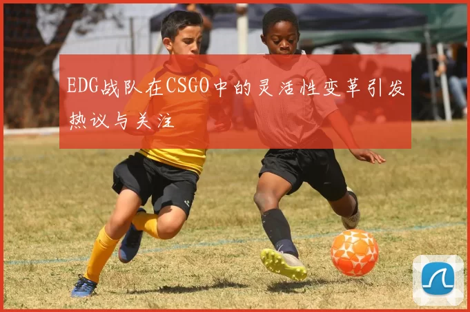 EDG战队在CSGO中的灵活性变革引发热议与关注