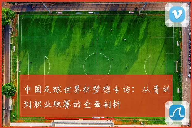 中国足球世界杯梦想专访：从青训到职业联赛的全面剖析