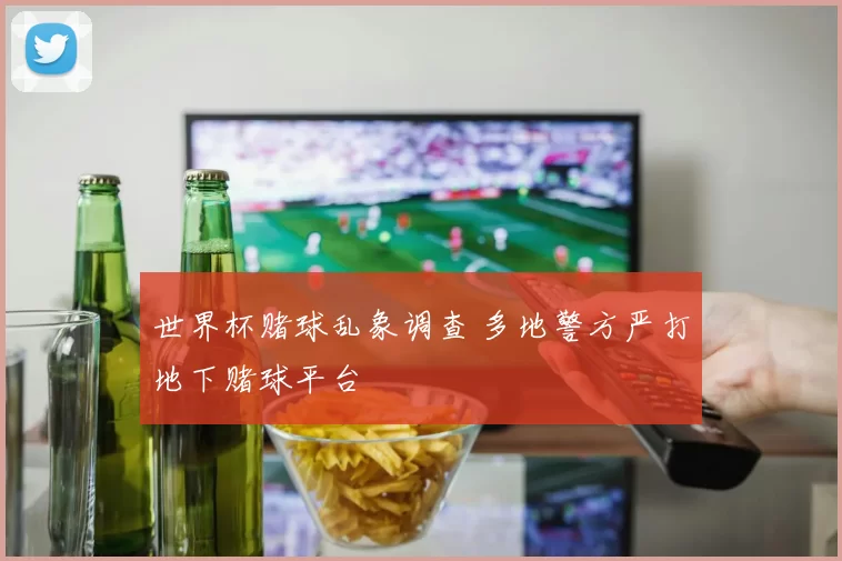 世界杯赌球乱象调查 多地警方严打地下赌球平台