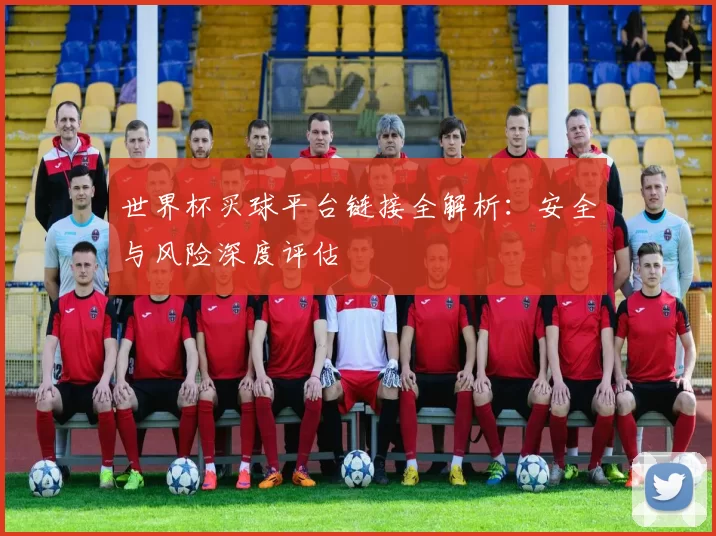 世界杯买球平台链接全解析:安全与风险深度评估