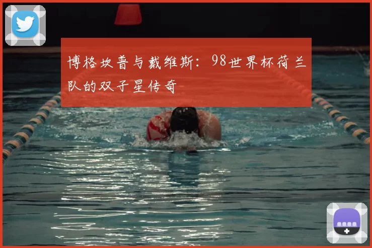 博格坎普与戴维斯:98世界杯荷兰队的双子星传奇