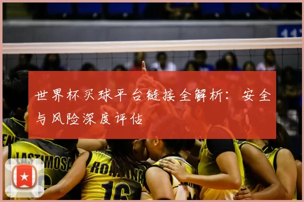世界杯买球平台链接全解析:安全与风险深度评估