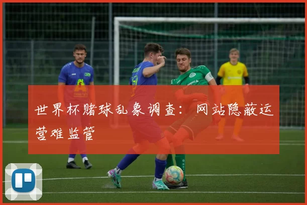 世界杯赌球乱象调查:网站隐蔽运营难监管